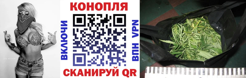 блэк спрут ссылка  Мытищи  Марихуана марихуана 